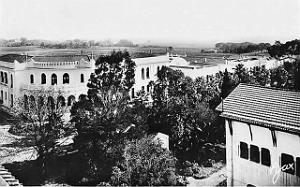 ALGER - MAISON-CARREE - Ecole Nationale d'Agriculture (11)